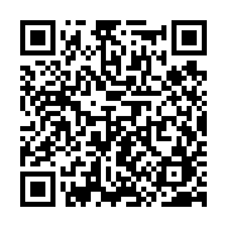 QR code for SV3V1B