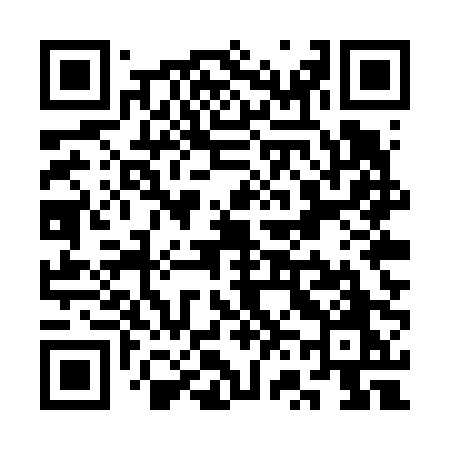 QR code for SV5V0O