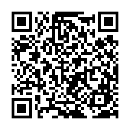 QR code for TI4V6N