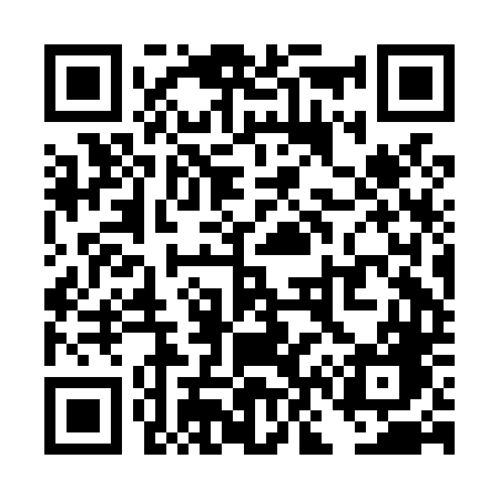 QR code for TN2L4G