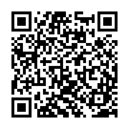 QR code for TP0H4L
