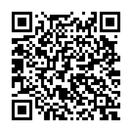 QR code for UD2P2A
