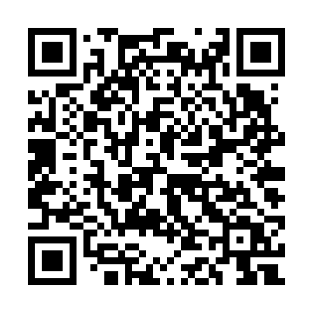 QR code for UD4V2T