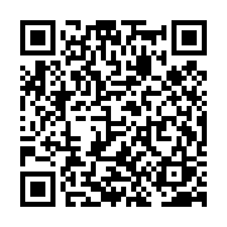 QR code for VN1D3S