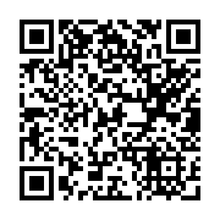 QR code for VN3R2I