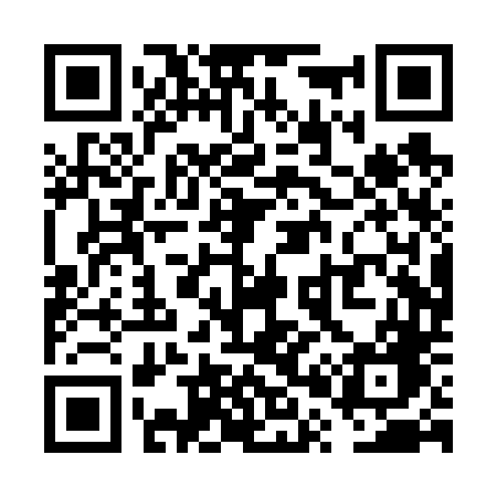 QR code for VP0V4G