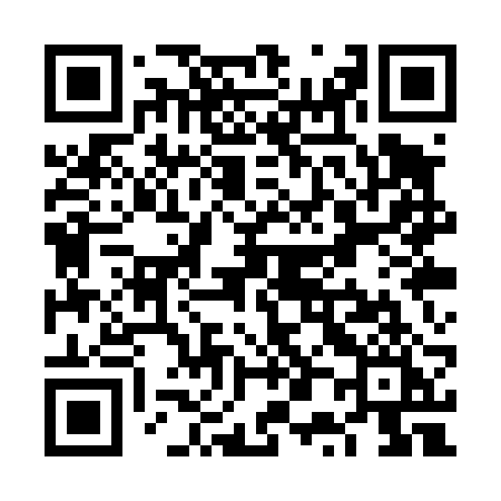 QR code for VP1T2I