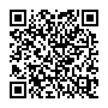 QR code for WG4C4I