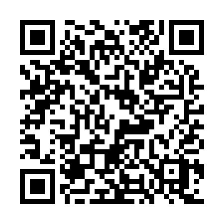 QR code for WO1Y1X