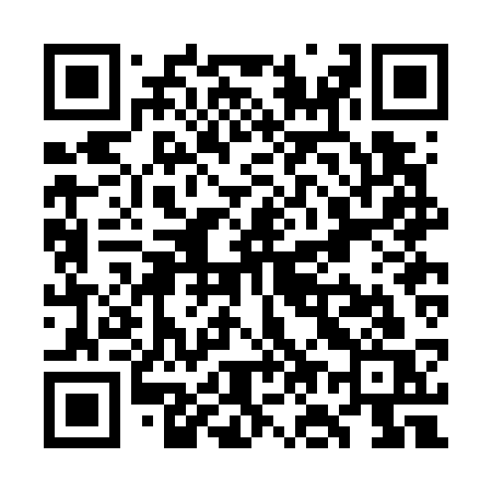 QR code for WO2G3S