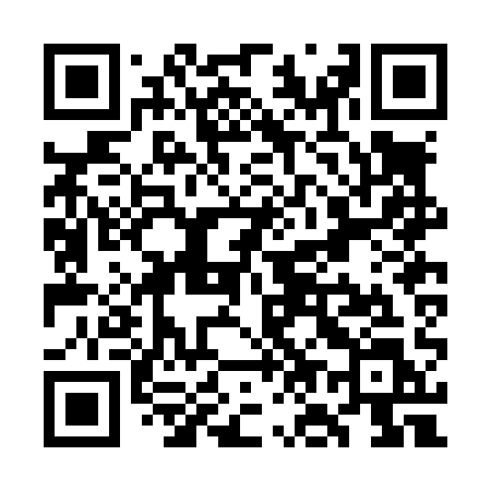QR code for WO2L1L