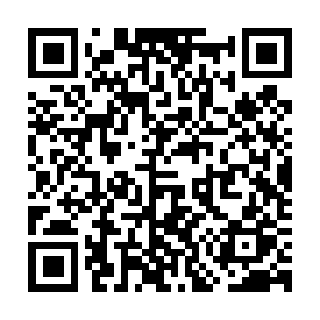 QR code for WO2T2P