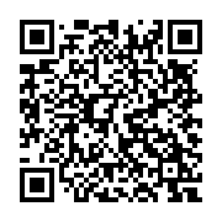 QR code for WO4N0O