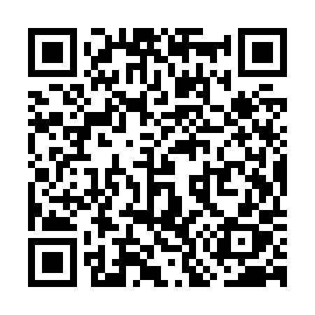 QR code for WO9Z0X