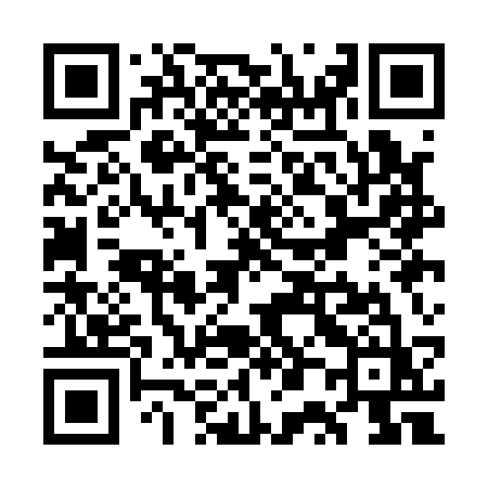 QR code for WP1A3Z