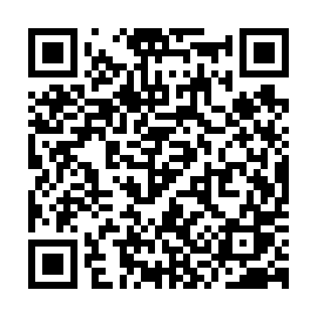 QR code for YS1V0S