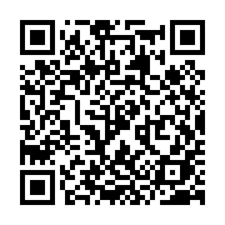 QR code for YS3P0H