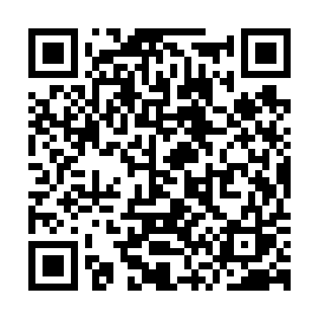 QR code for YV9V1S