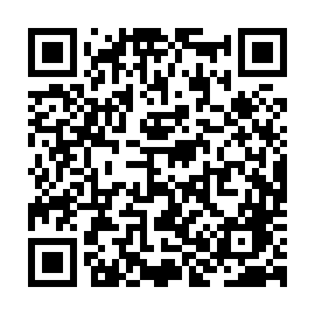 QR code for ZH0X4G