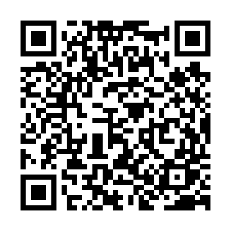 QR code for ZH9V4P