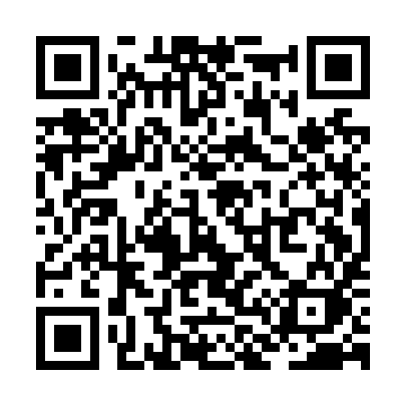 QR code for ZL1N9K
