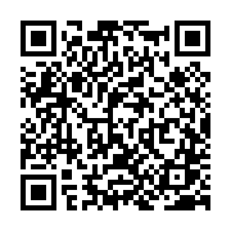 QR code for ZN6P4S
