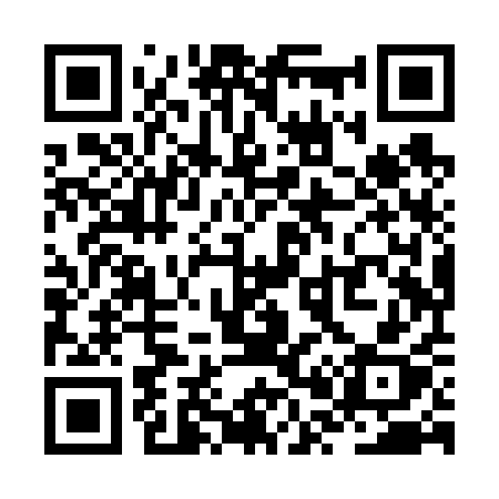 QR code for ZP8V1X