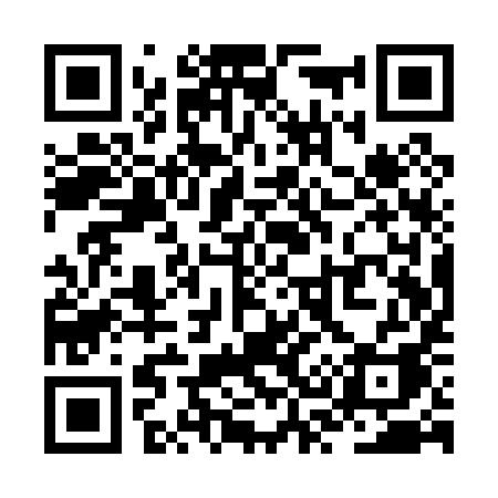 QR code for ZS1P9A
