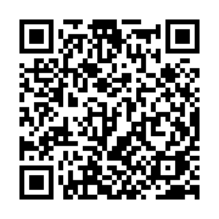QR code for ZV1X1A