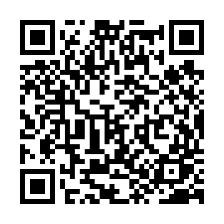 QR code for ZX9V4P