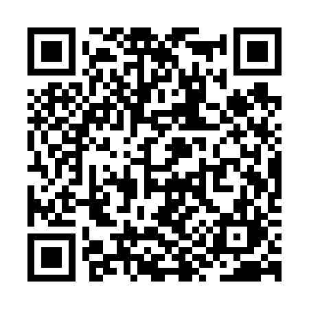 QR code for ZY1V2L