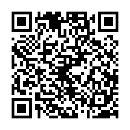 QR code for 100155Z