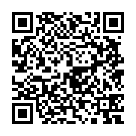 QR code for 100438N