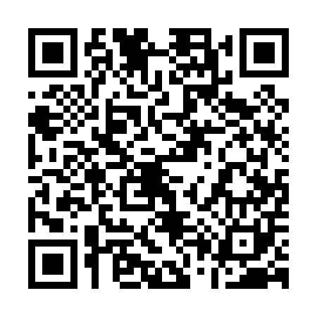 QR code for 101001N