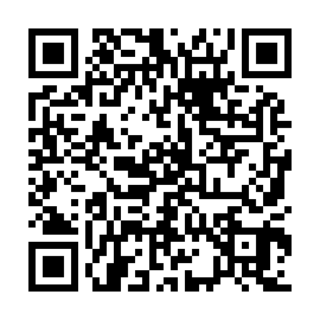 QR code for 119901X