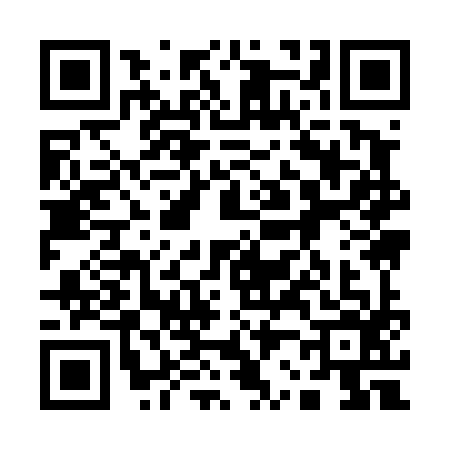 QR code for 1294961