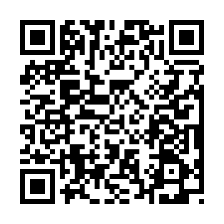 QR code for 133165T