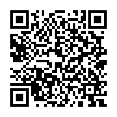 QR code for 161063C
