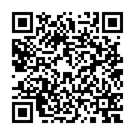 QR code for 163137Y