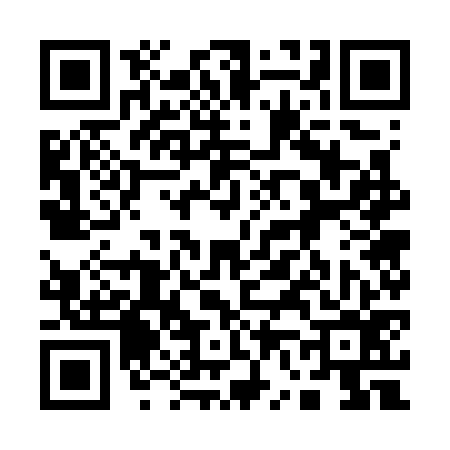 QR code for 167776P
