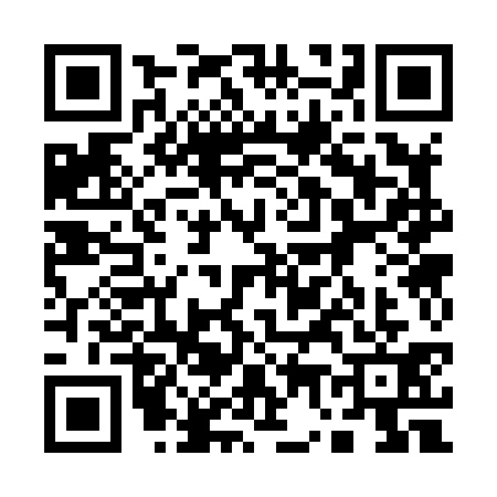 QR code for 1738313