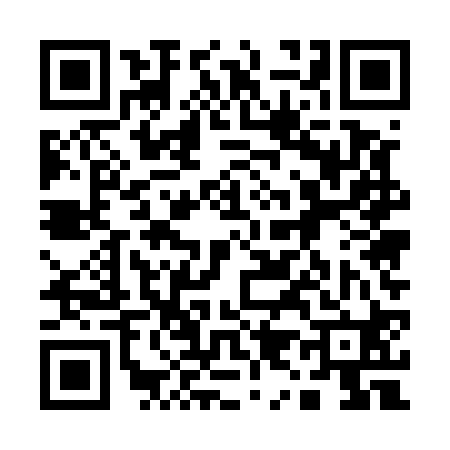 QR code for 195520W