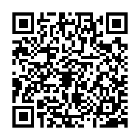 QR code for 196795W