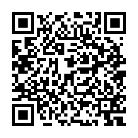 QR code for 1C0213H