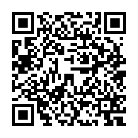 QR code for 1C0225P