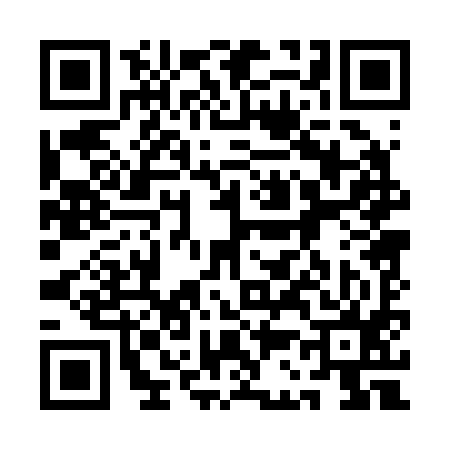 QR code for 1C0295X