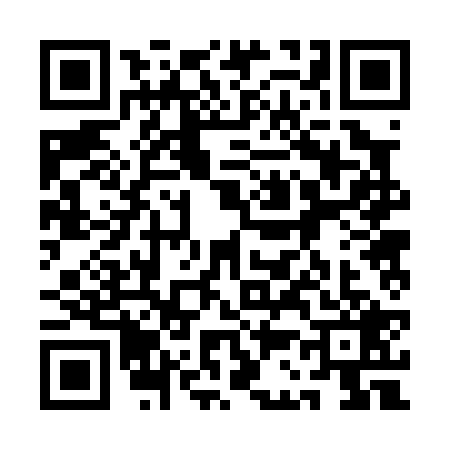 QR code for 1C20293