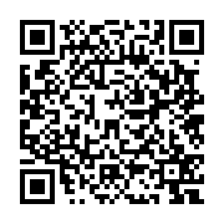 QR code for 1C20377