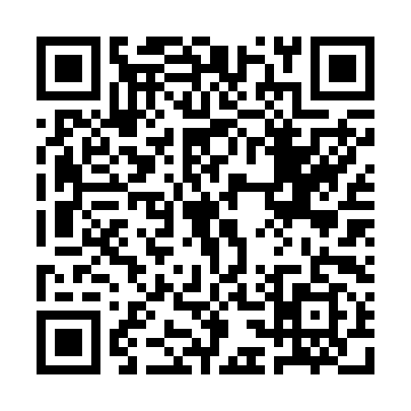 QR code for 1C22993
