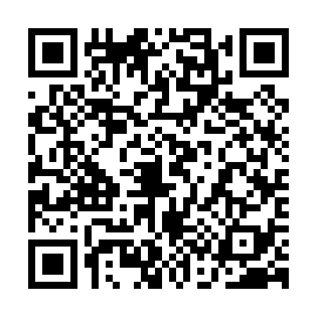 QR code for 1C30393